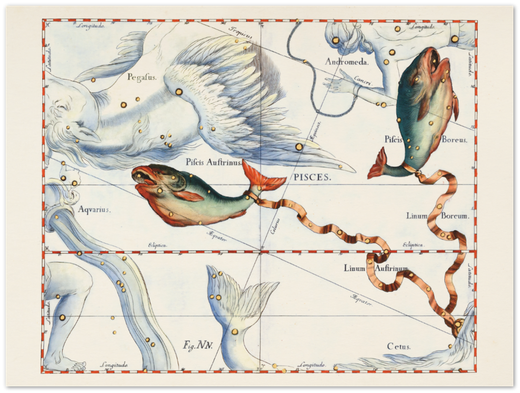 Affiche d'art zodiaque Poisson