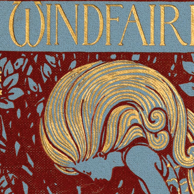 Carnet de notes The Windfairies