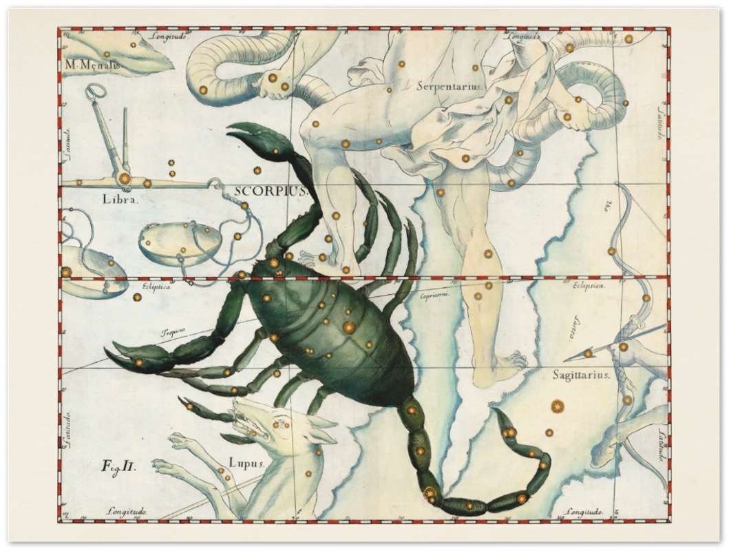 Affiche d'art zodiaque Scorpion