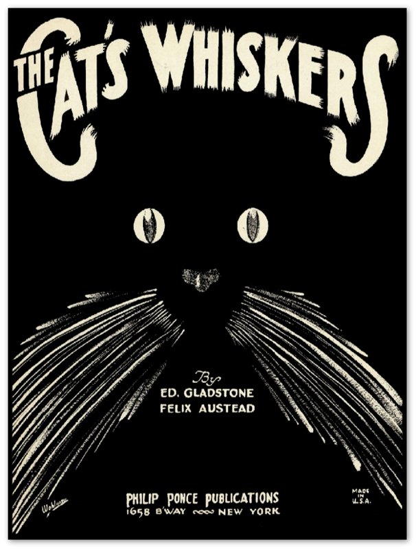 Affiche d'art Cat's Whiskers - Sol wohlman - Les vilaines curiosités