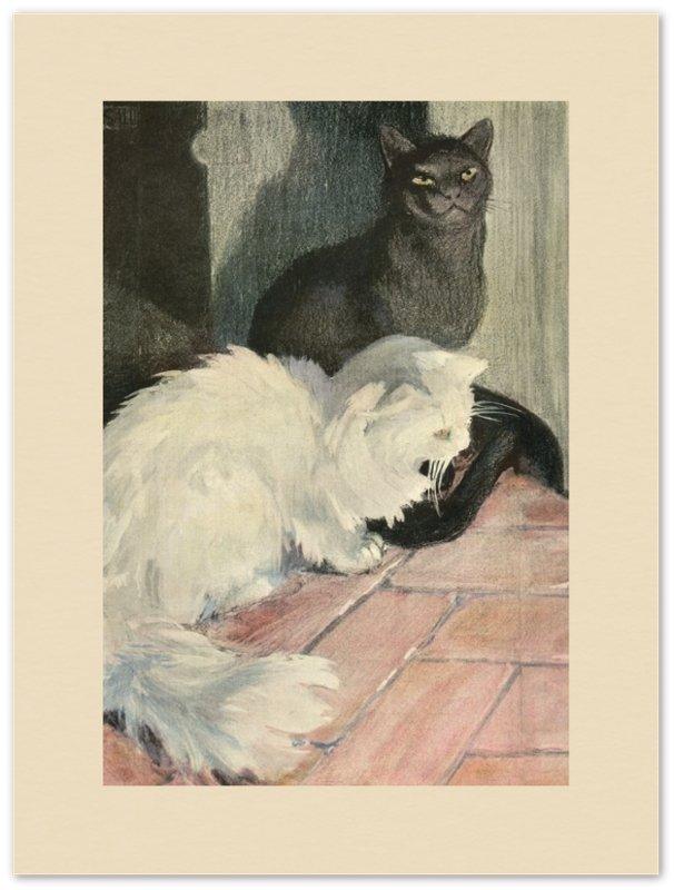 Affiche d'art The book of the cat - Elisabeth Fearne Bonsall - Les vilaines curiosités