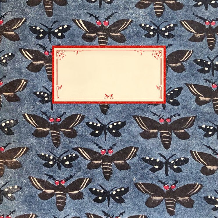 Cahier Das kleine buch der nachfalter - Jakob Hübner - Les vilaines curiosités