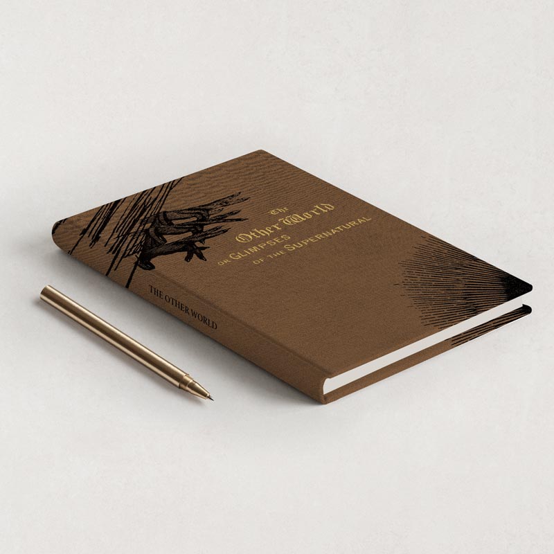 Carnet de notes Les Chauves-Souris - Charles Meunier - Les vilaines curiosités