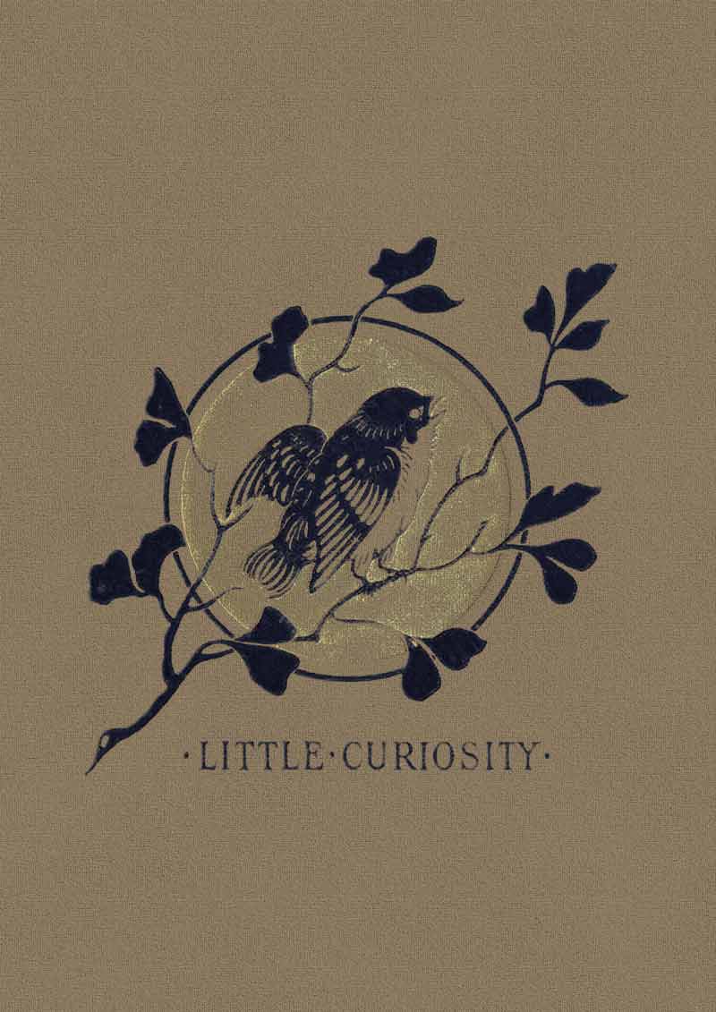 Carnet de notes Little Curiosity - Illustrateur inconnu - Les vilaines curiosités