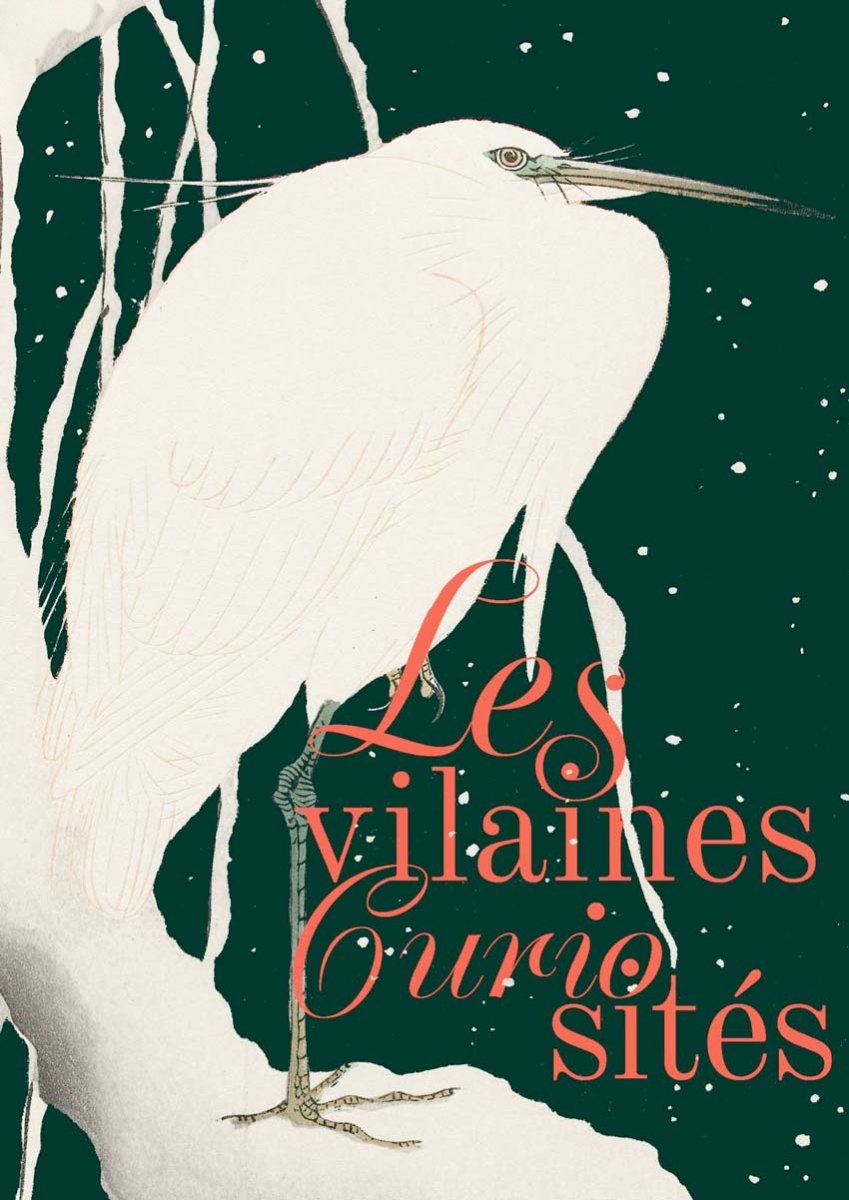 Carte cadeau de noël - Les vilaines curiosités - Les vilaines curiosités