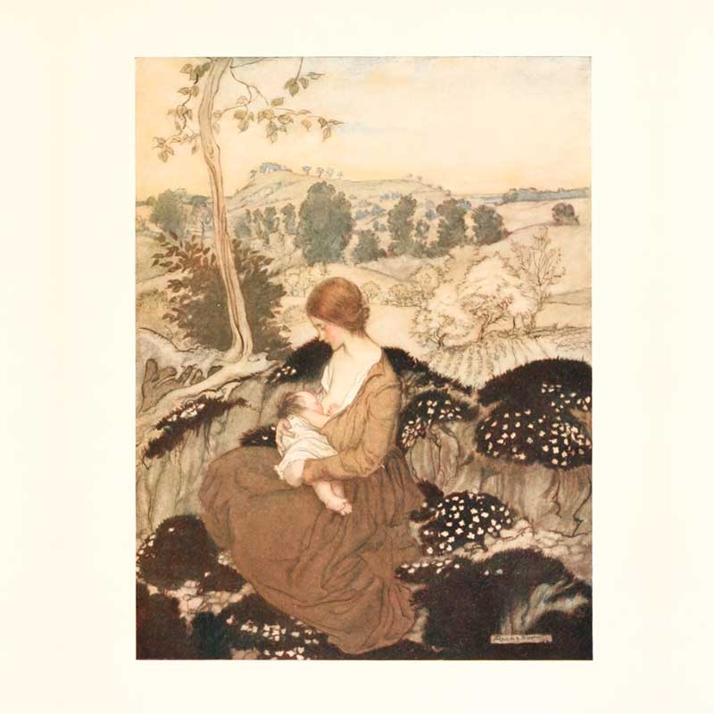 Feeds a flower of bliss - Arthur Rackham - Les vilaines curiosités
