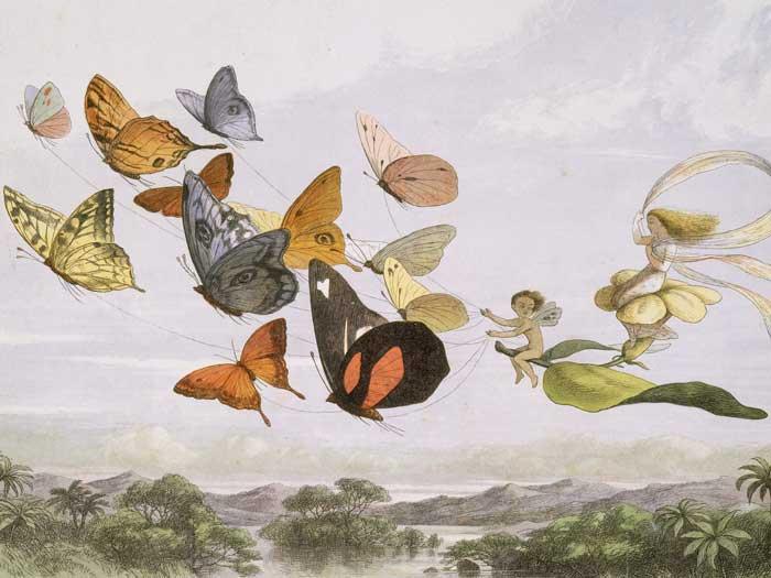 In Fairyland par Richard Doyle - Les vilaines curiosités