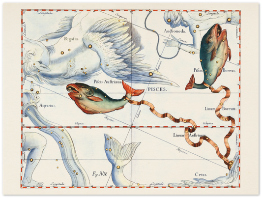 Affiche d'art zodiaque Poisson