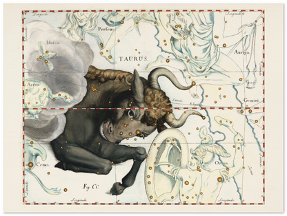 Affiche d'art zodiaque Taureau