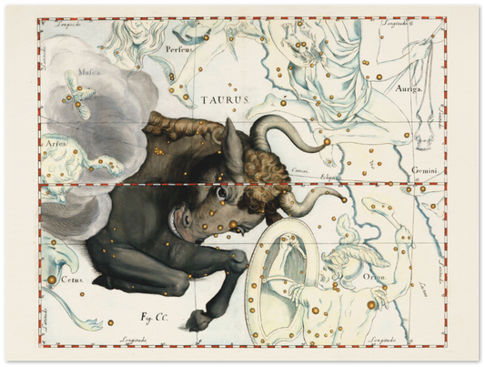 Affiche d'art zodiaque Taureau
