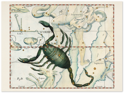 Affiche d'art zodiaque Scorpion