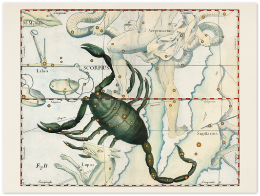 Affiche d'art zodiaque Scorpion