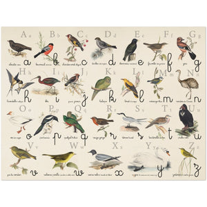 Ouvrir l&#39;image dans le diaporama, Abécédaire Montessori oiseaux - Elizabeth Gould - Les vilaines curiosités
