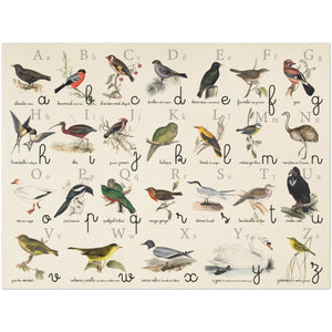 Abécédaire Montessori oiseaux - Elizabeth Gould - Les vilaines curiosités