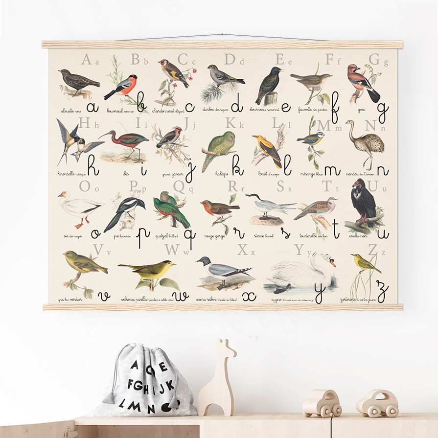 Abécédaire Montessori oiseaux - Elizabeth Gould - Les vilaines curiosités