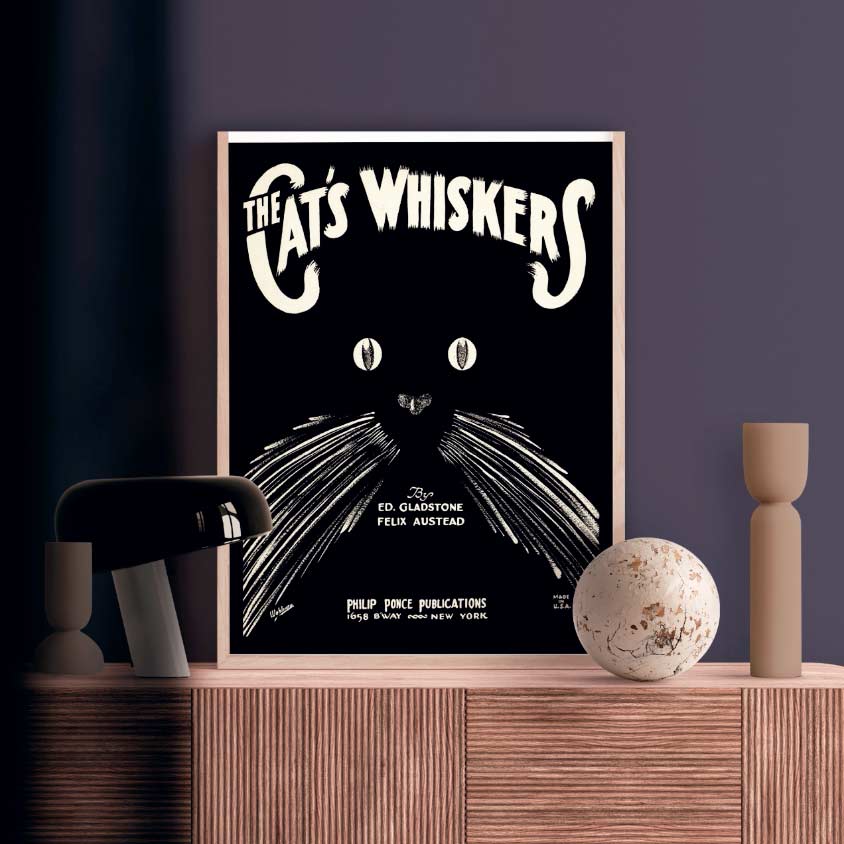 Affiche d'art Cat's Whiskers - Sol wohlman - Les vilaines curiosités