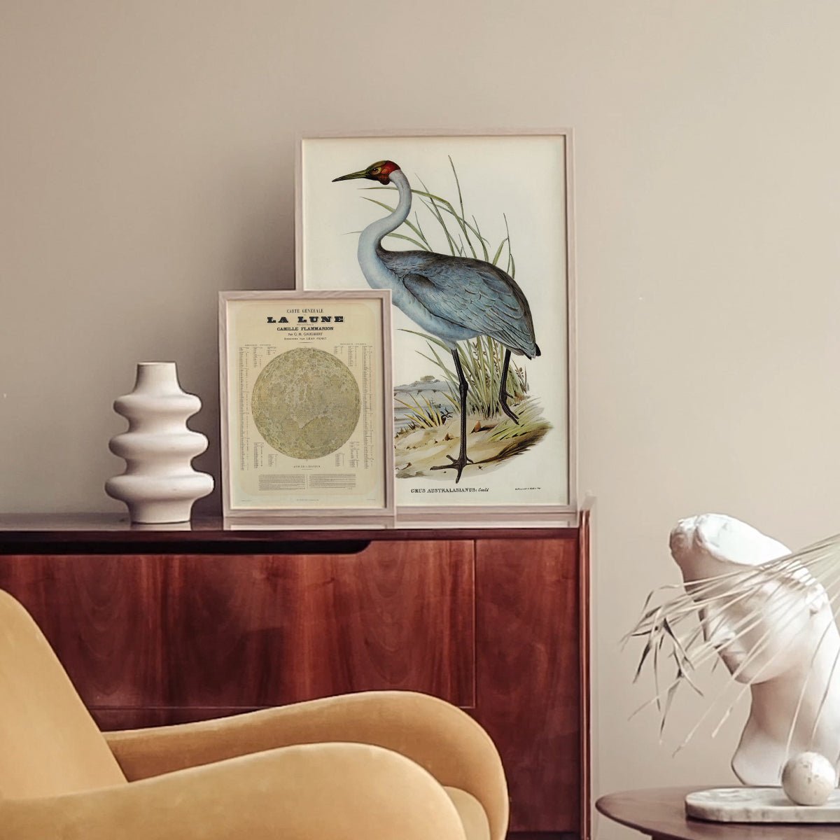 Affiche d'art Grus Australasianus - Elizabeth Gould - Les vilaines curiosités