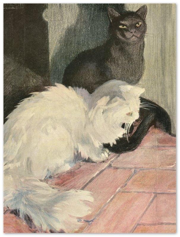 Affiche d'art The book of the cat - Elisabeth Fearne Bonsall - Les vilaines curiosités