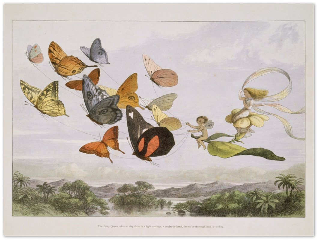 Affiche d'art The Fairy Queen Takes an Airy Drive - Richard Doyle - Les vilaines curiosités