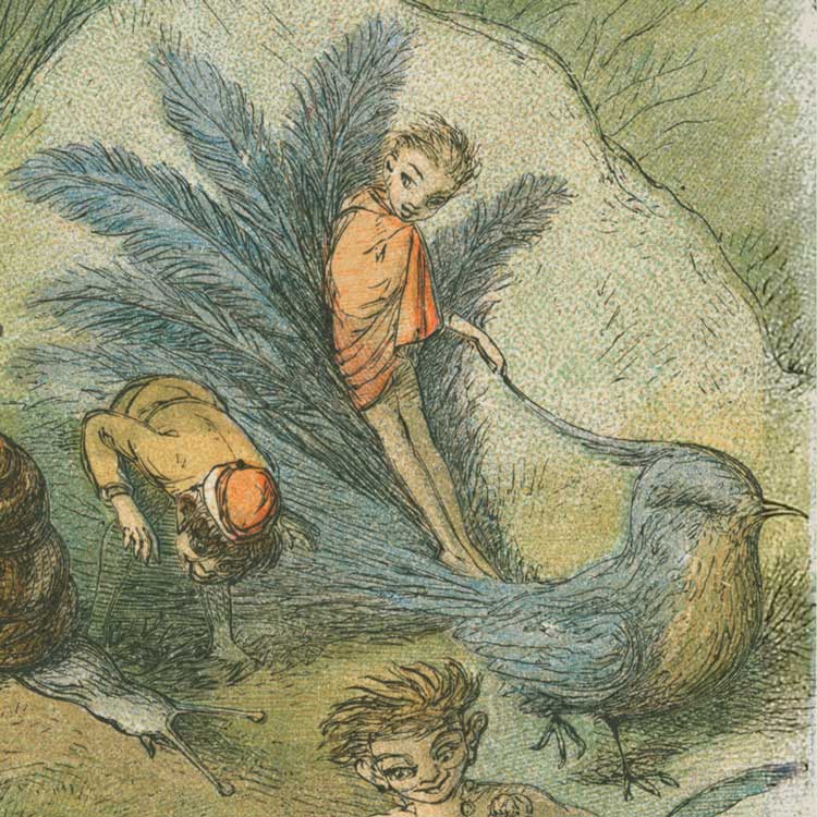 Affiche d'art Triomphal march of the Elf-King - Richard Doyle - Les vilaines curiosités