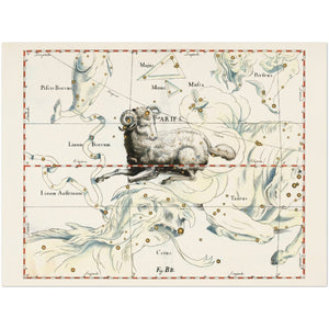 Affiche d'art zodiaque Bélier - Johannes Hevelius - Les vilaines curiosités