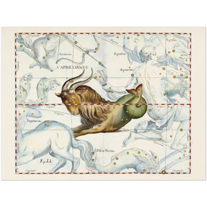 Affiche d'art zodiaque Capricorne - Johannes Hevelius - Les vilaines curiosités
