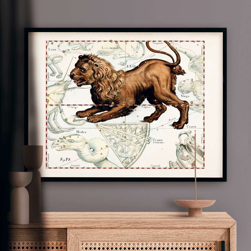 Affiche d'art zodiaque Lion - Johannes Hevelius - Les vilaines curiosités