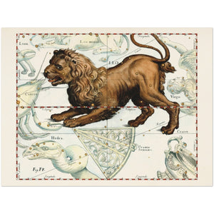Ouvrir l&#39;image dans le diaporama, Affiche d&#39;art zodiaque Lion - Johannes Hevelius - Les vilaines curiosités
