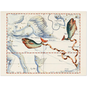Ouvrir l&#39;image dans le diaporama, Affiche d&#39;art zodiaque Poisson - Johannes Hevelius - Les vilaines curiosités
