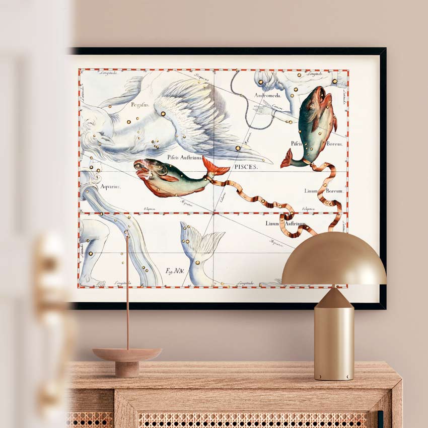 Affiche d'art zodiaque Poisson - Johannes Hevelius - Les vilaines curiosités