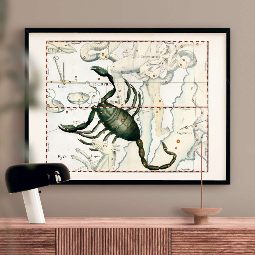 Affiche d'art zodiaque Scorpion - Johannes Hevelius - Les vilaines curiosités