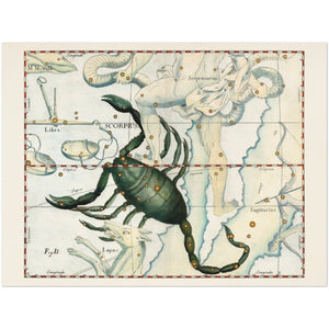 Affiche d'art zodiaque Scorpion - Johannes Hevelius - Les vilaines curiosités