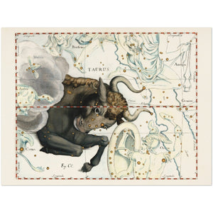 Ouvrir l&#39;image dans le diaporama, Affiche d&#39;art zodiaque Taureau - Johannes Hevelius - Les vilaines curiosités

