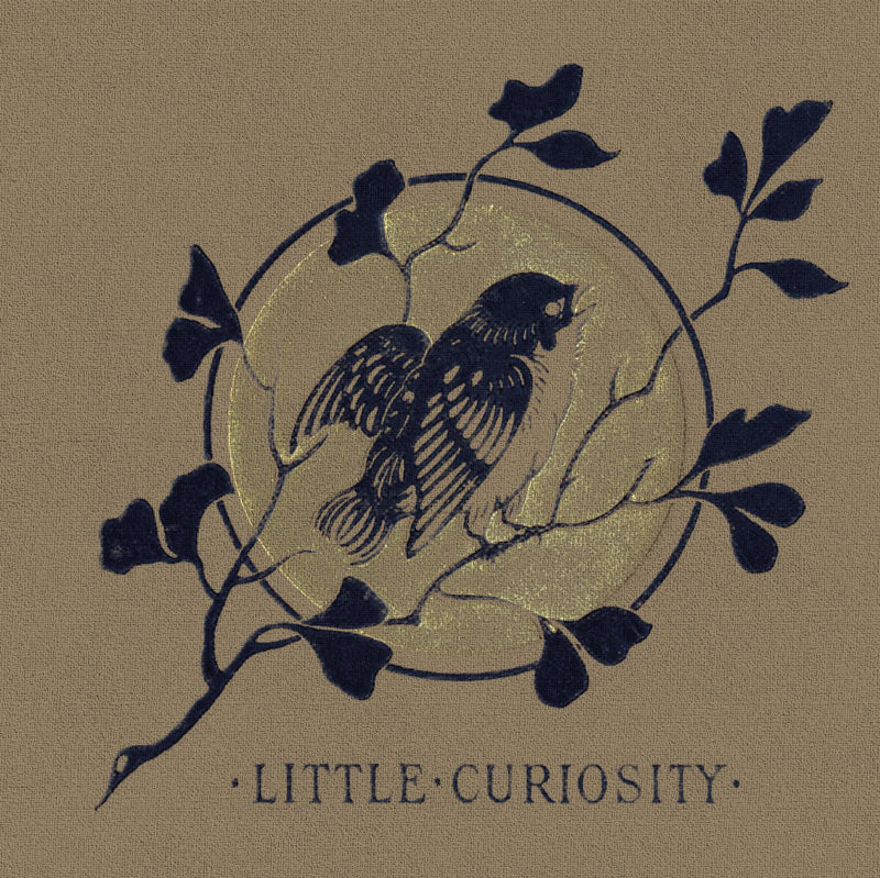 Carnet de notes Little Curiosity - Illustrateur inconnu - Les vilaines curiosités