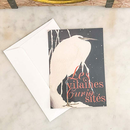 Carte cadeau de noël - Les vilaines curiosités - Les vilaines curiosités