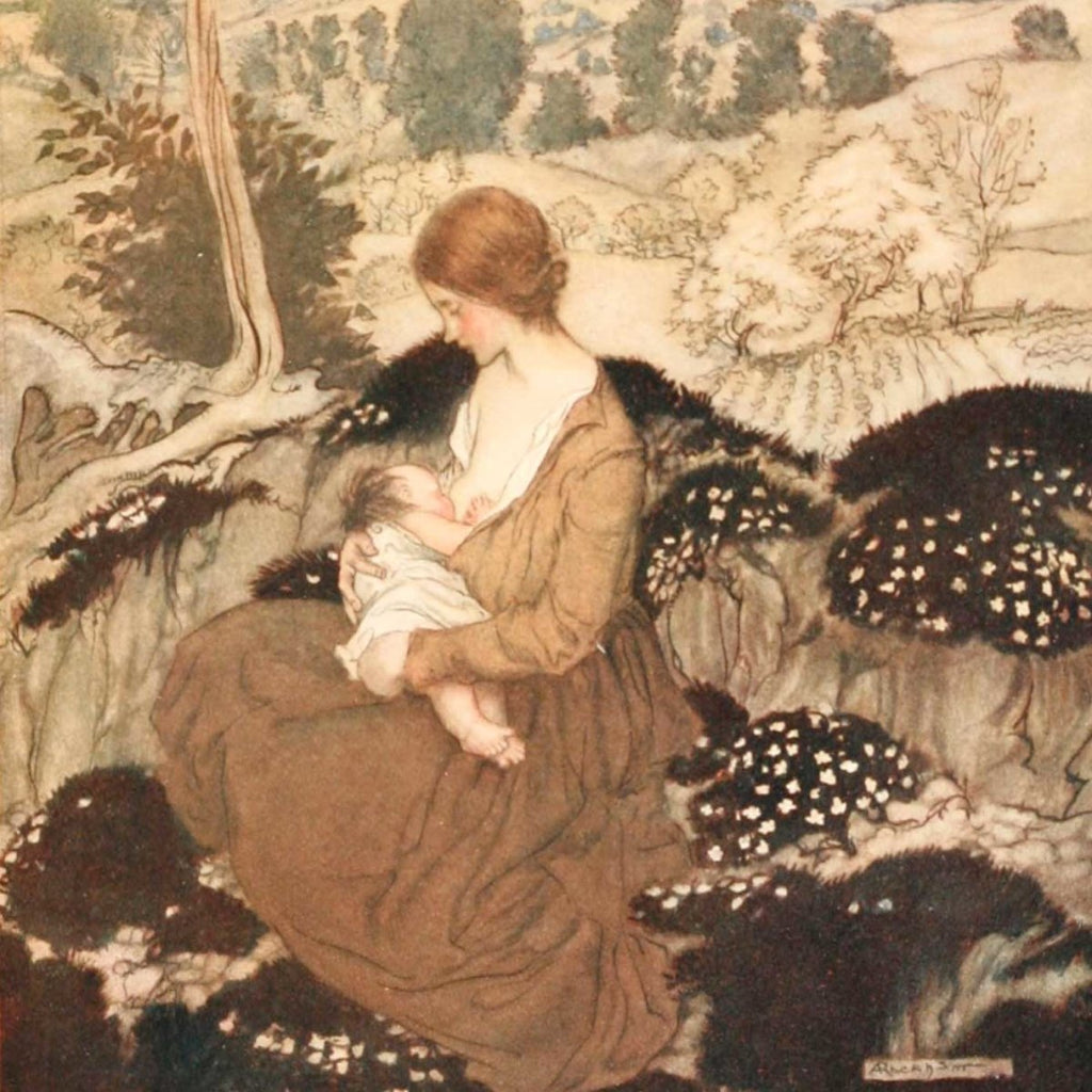Feeds a flower of bliss - Arthur Rackham - Les vilaines curiosités