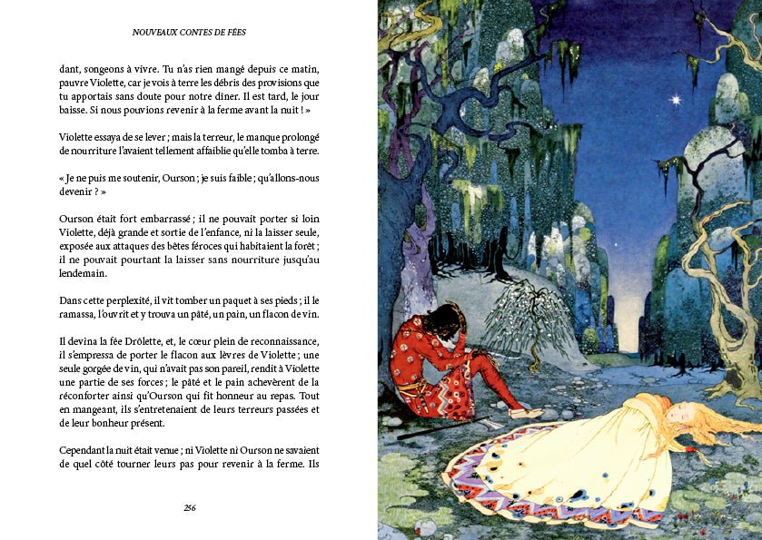 Nouveaux contes de Fées illustrés - La comtesse de Ségur & Virginia Frances Sterrett - Les vilaines curiosités
